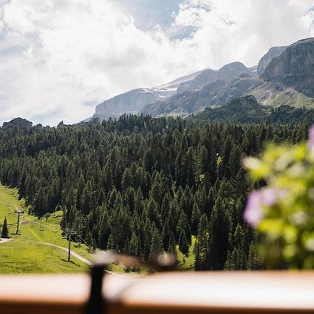 אראבה Laguscei Dolomites Mountain Hotel מראה חיצוני תמונה
